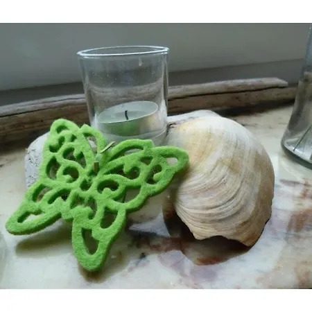 -cancer- In The -muschelsoeker- Langeoog